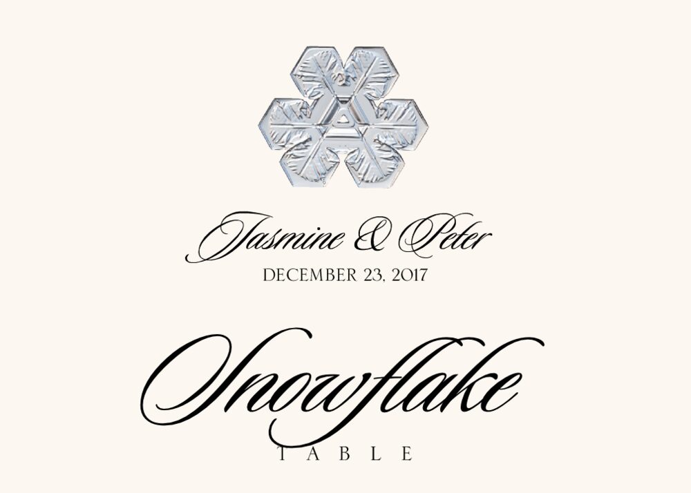 Snowflake Assortment  Table Names