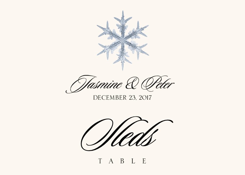 Snowflake Assortment  Table Names