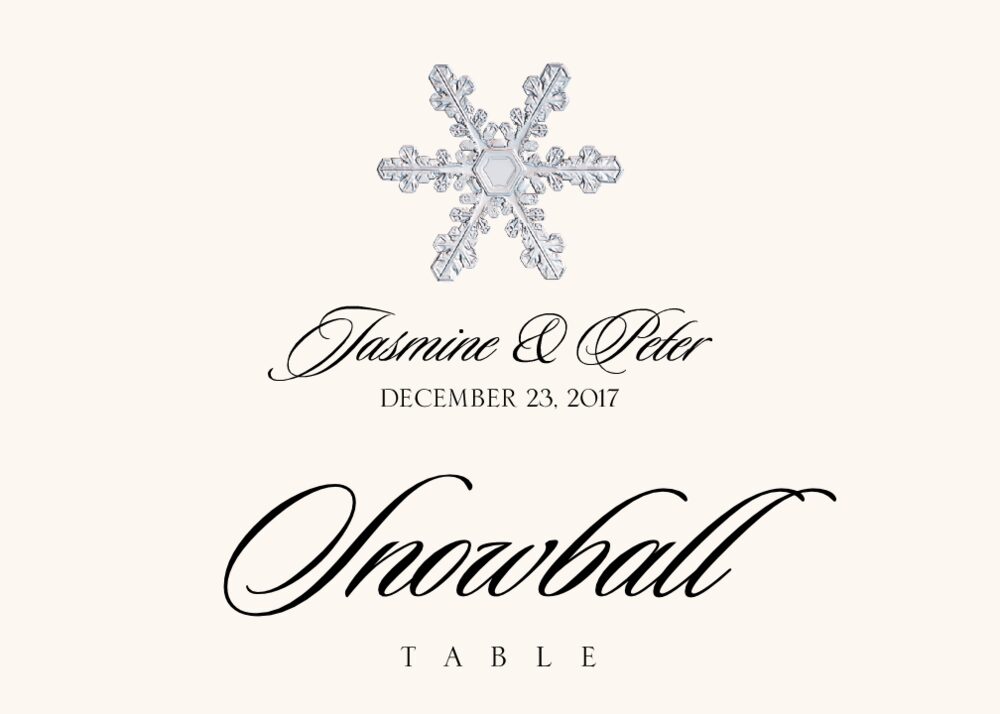 Snowflake Assortment  Table Names