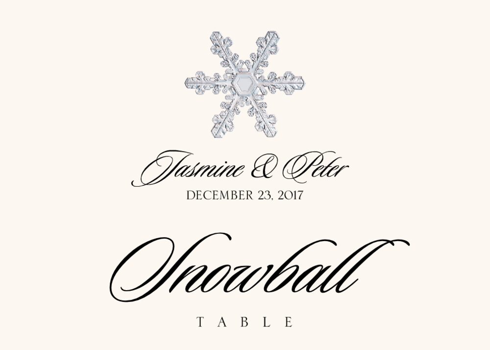 Snowflake Assortment  Table Names