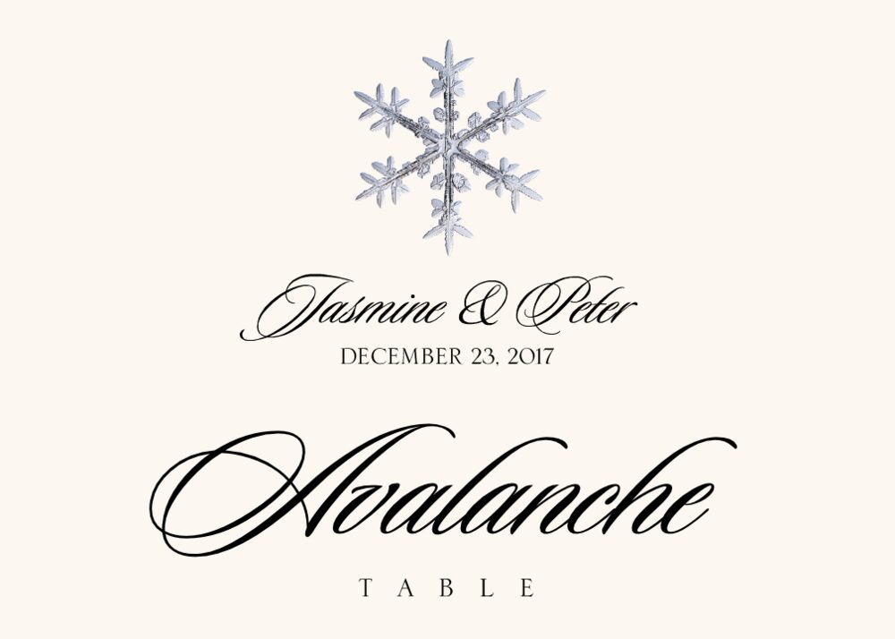 Snowflake Assortment  Table Names