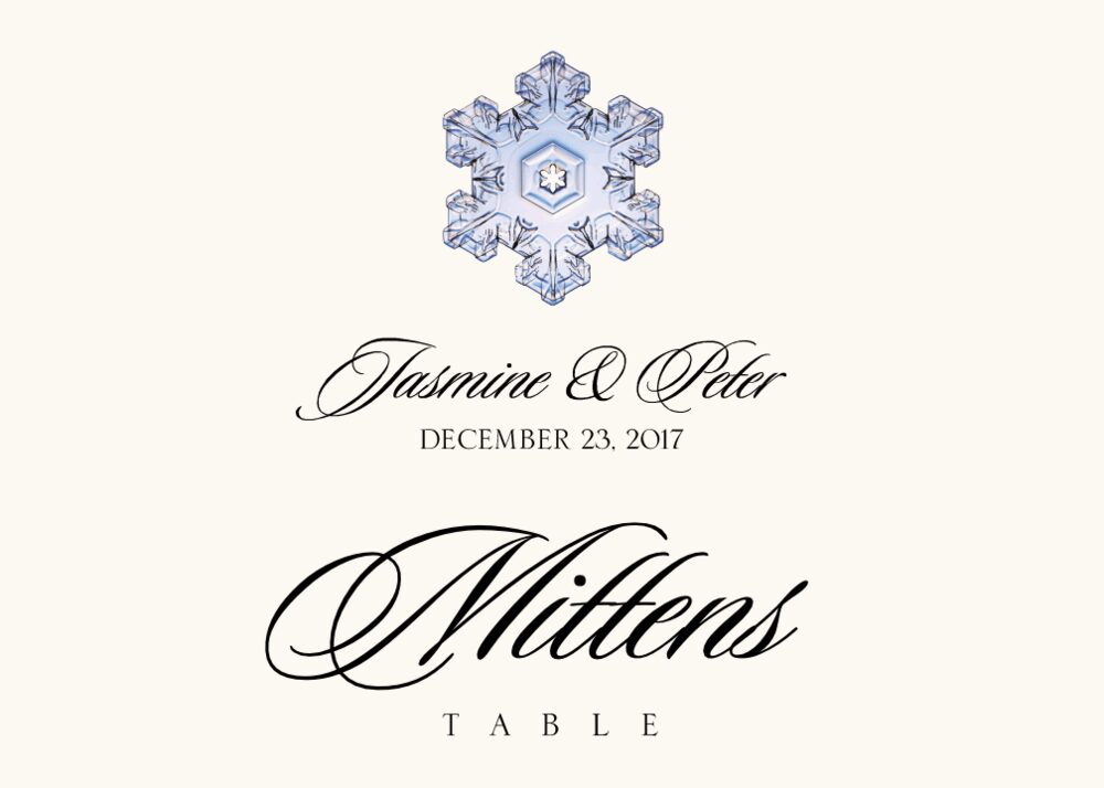 Snowflake Assortment  Table Names