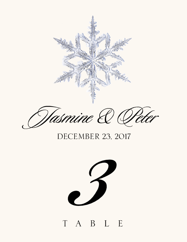 Snowflake Assortment  Table Numbers