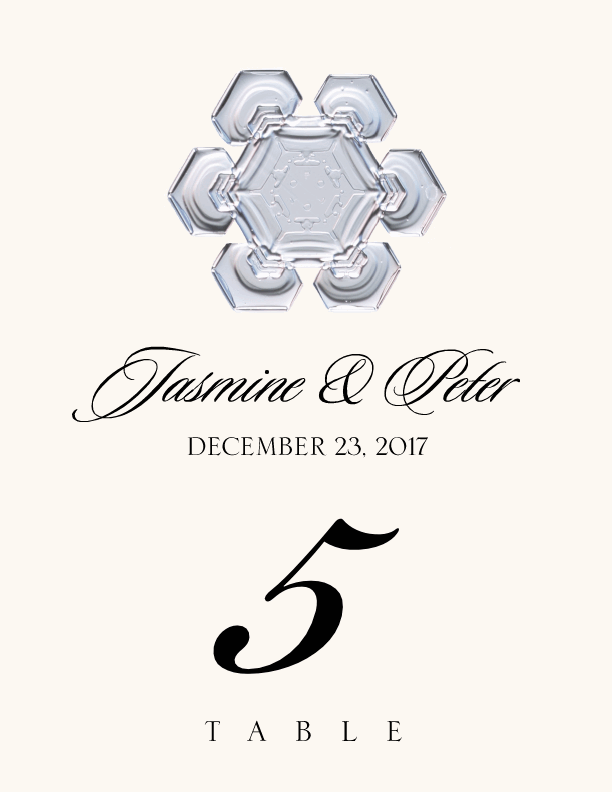Snowflake Assortment  Table Numbers