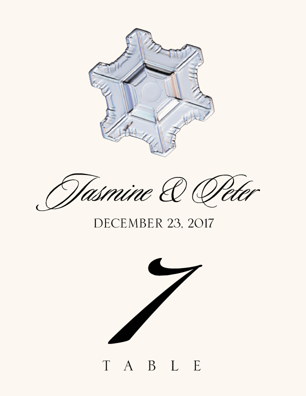 Snowflake Assortment  Table Numbers