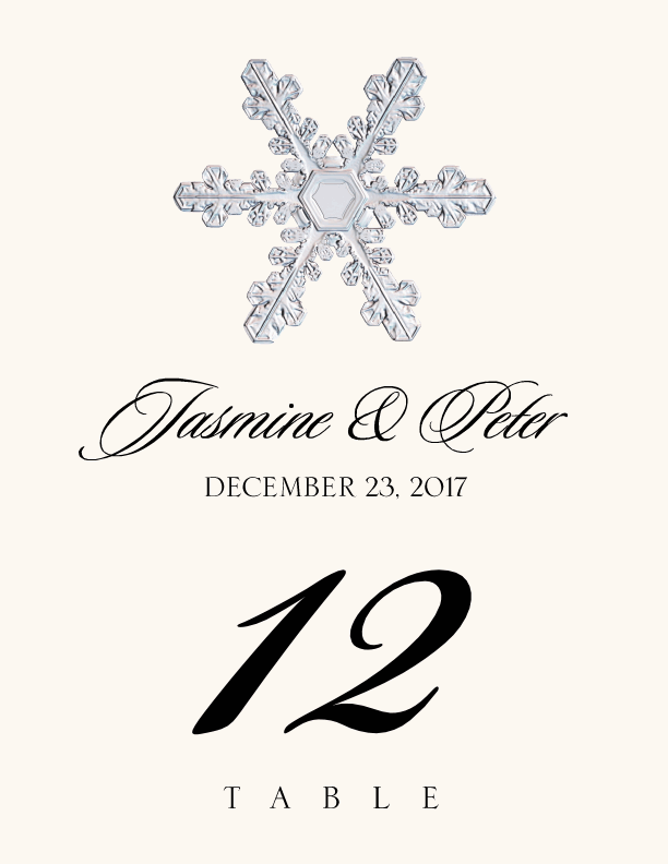Snowflake Assortment  Table Numbers