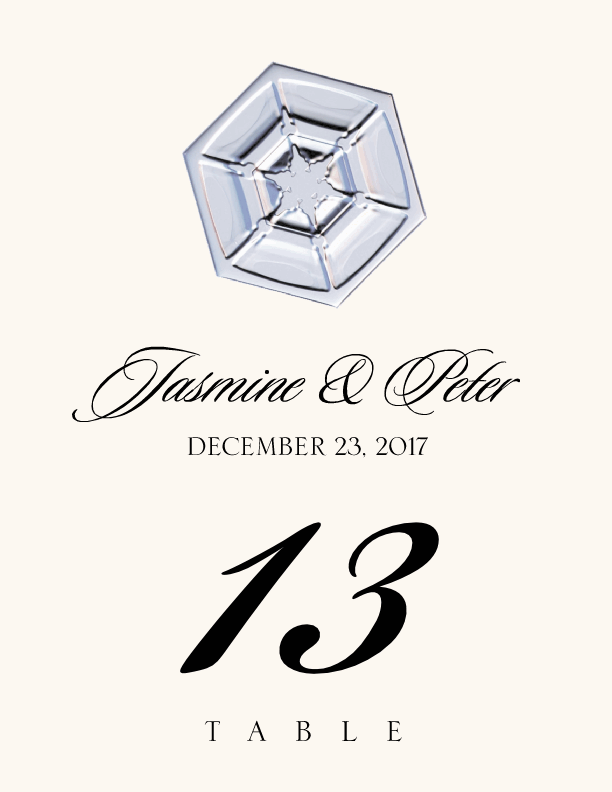 Snowflake Assortment  Table Numbers