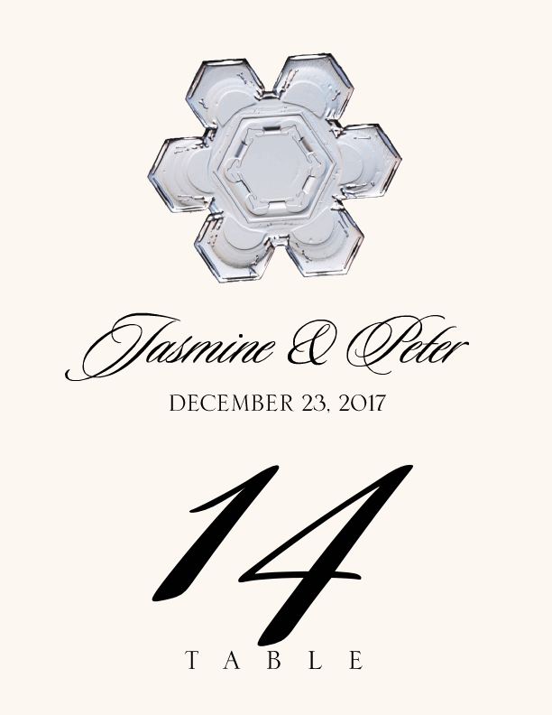 Snowflake Assortment  Table Numbers