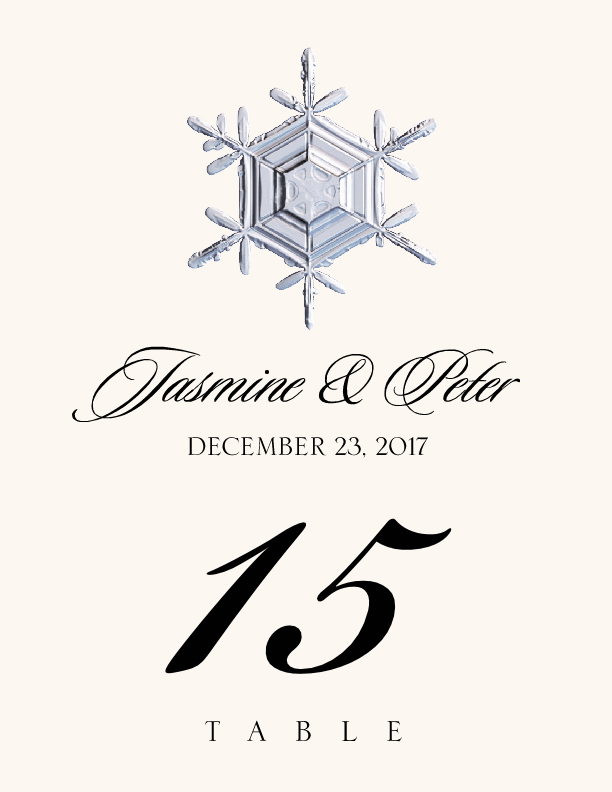 Snowflake Assortment  Table Numbers