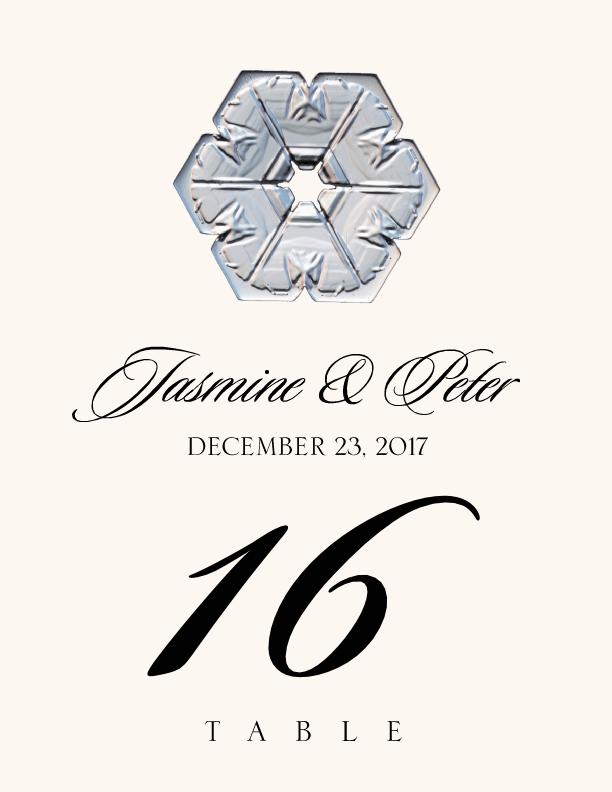 Snowflake Assortment  Table Numbers