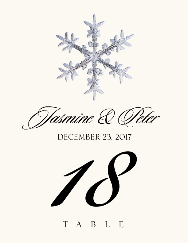 Snowflake Assortment  Table Numbers