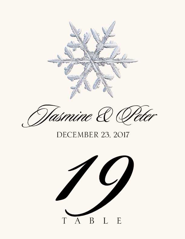 Snowflake Assortment  Table Numbers