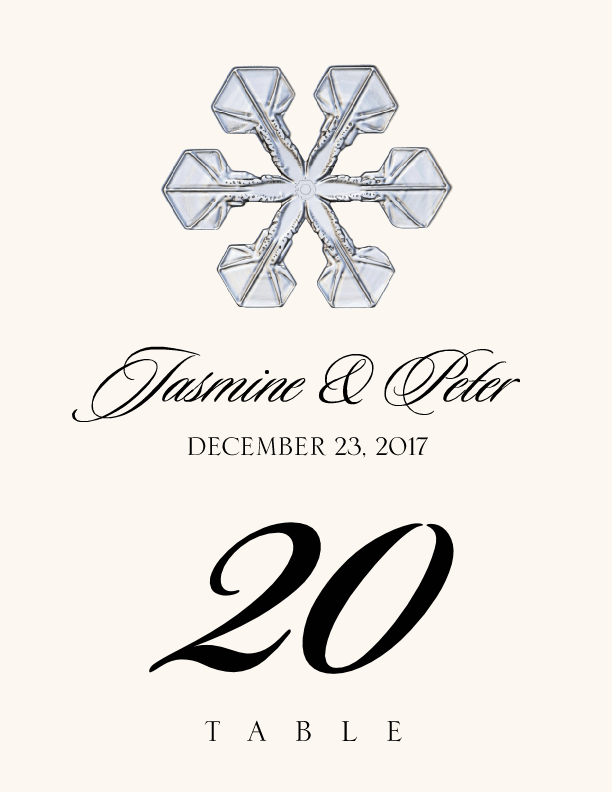 Snowflake Assortment  Table Numbers