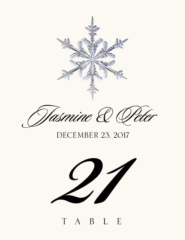 Snowflake Assortment  Table Numbers