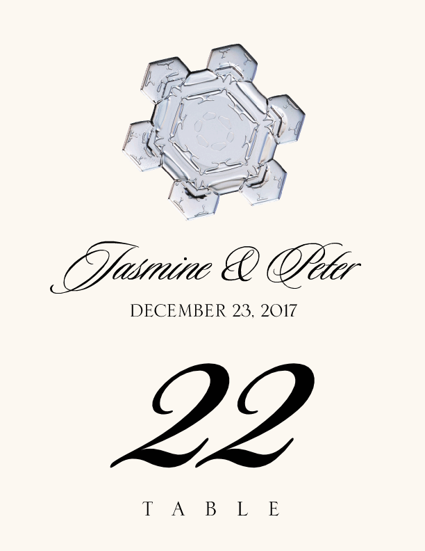 Snowflake Assortment  Table Numbers