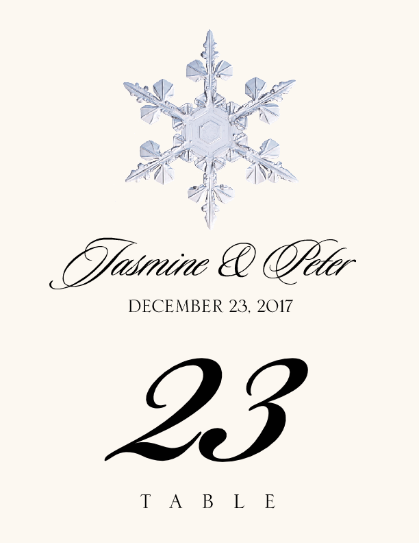 Snowflake Assortment  Table Numbers