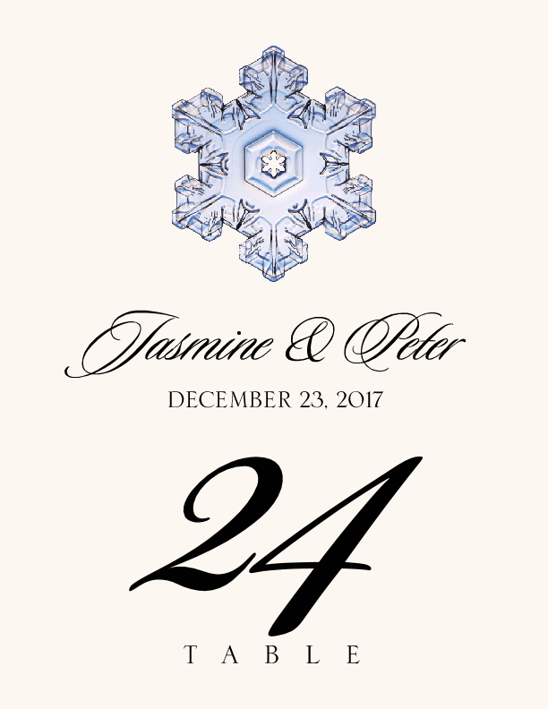 Snowflake Assortment  Table Numbers
