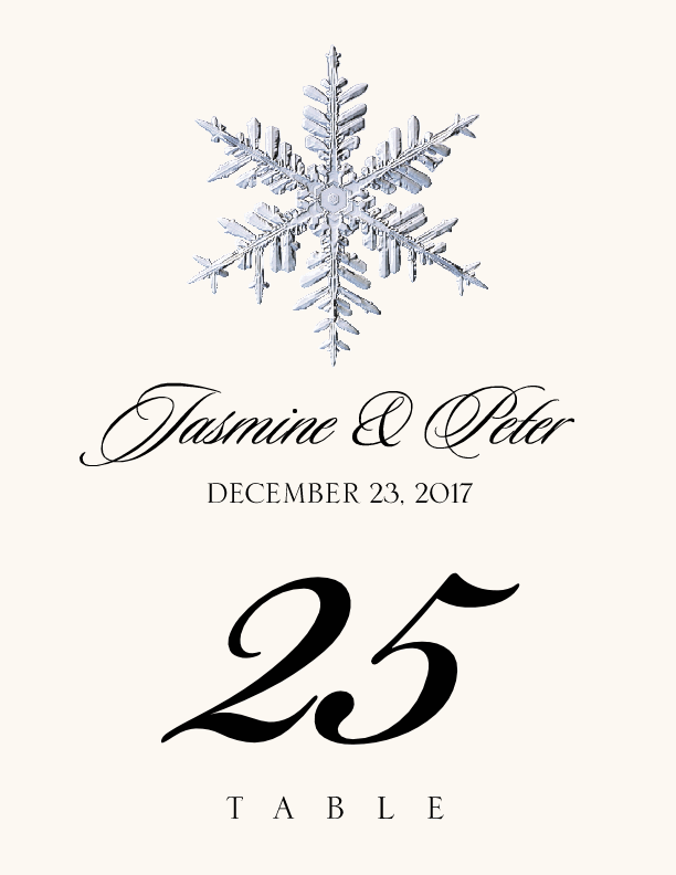 Snowflake Assortment  Table Numbers