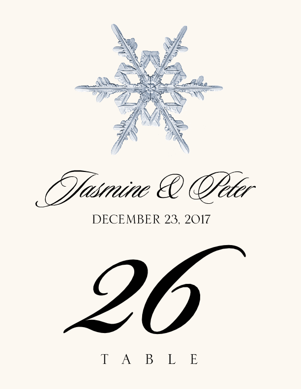 Snowflake Assortment  Table Numbers