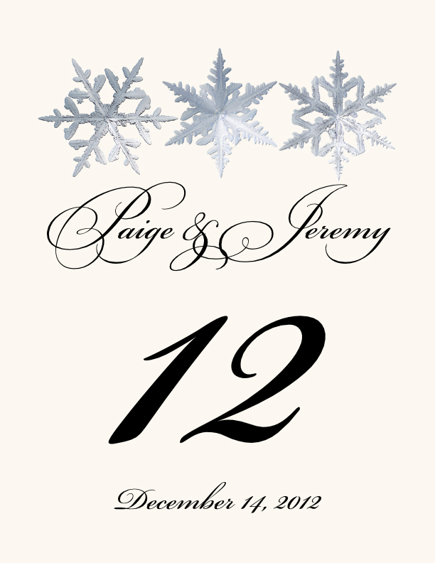Snowflake Pattern 01  Table Numbers