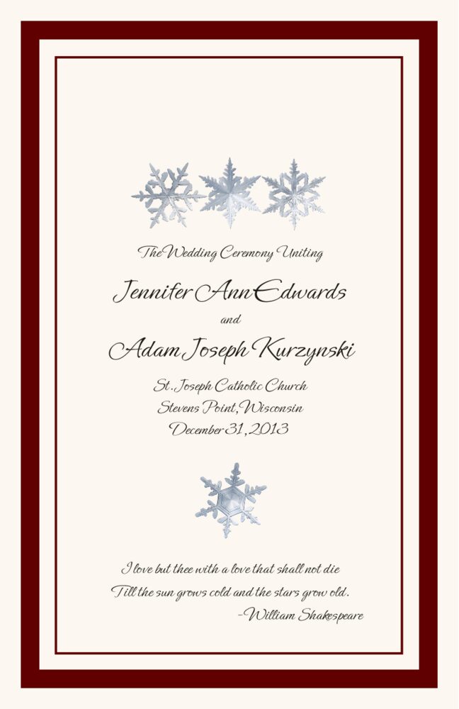 Winter Snowflake Pattern 01  Wedding Programs