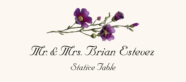 Statice  Place Cards