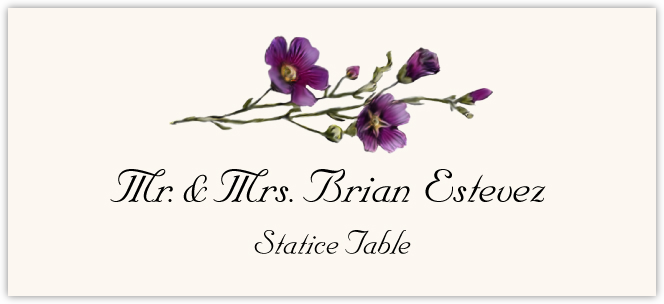 Statice  Place Cards