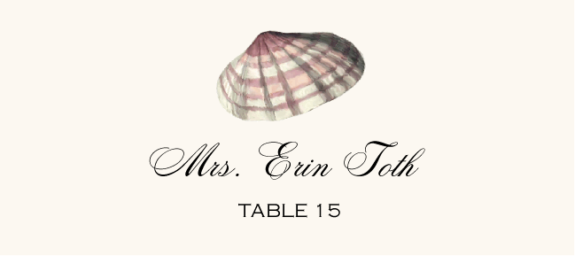 Antique Seashell Collector  Place Cards
