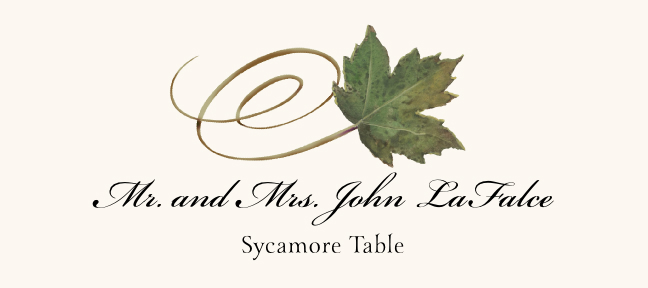 Assorted Swirly Leaves  Place Cards