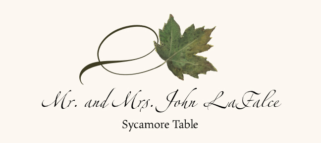 Assorted Twisty Leaves  Place Cards
