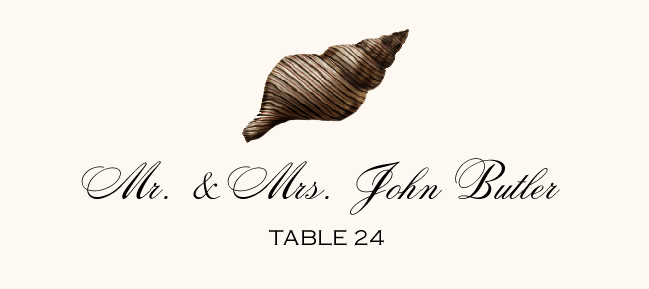 Antique Seashell Collector  Place Cards