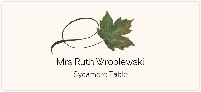 Sycamore Twisty Leaf  Place Cards