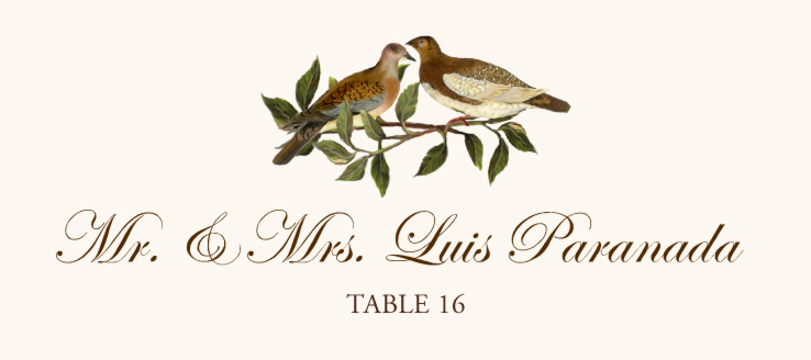 Brown Birds  Place Cards