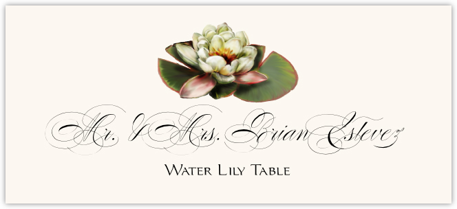 Water Lily  Place Cards
