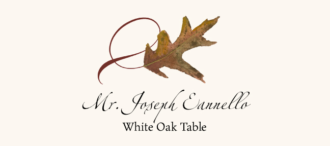 Assorted Twisty Leaves  Place Cards