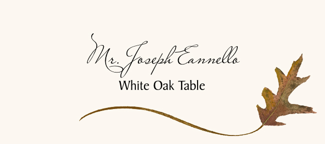 Assorted Wispy Leaves  Place Cards