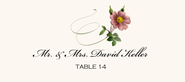 Wild Pink Rose Swirl  Place Cards