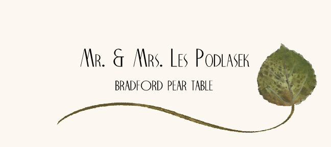 Bradford Pear Wispy Leaf  Place Cards