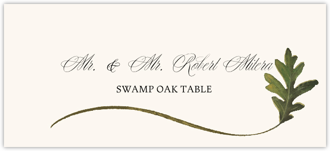 Swamp Oak Wispy Leaf  Place Cards
