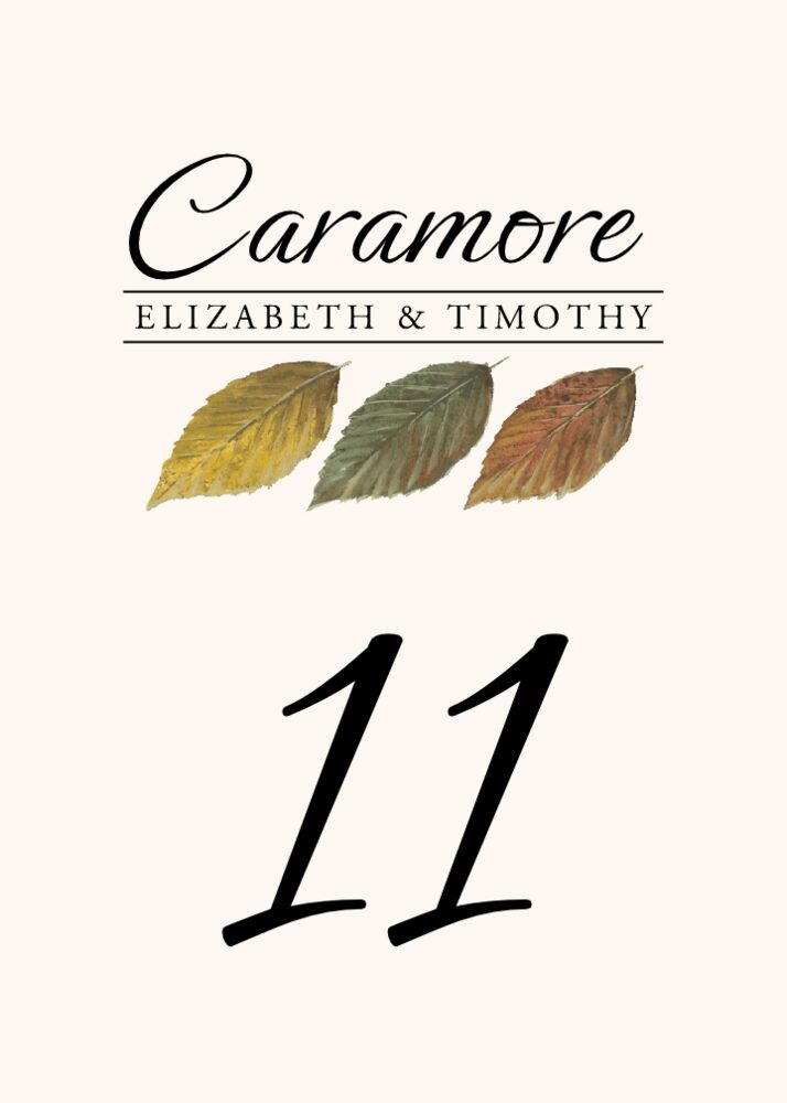 Leaf Pattern Assortment  Table Numbers