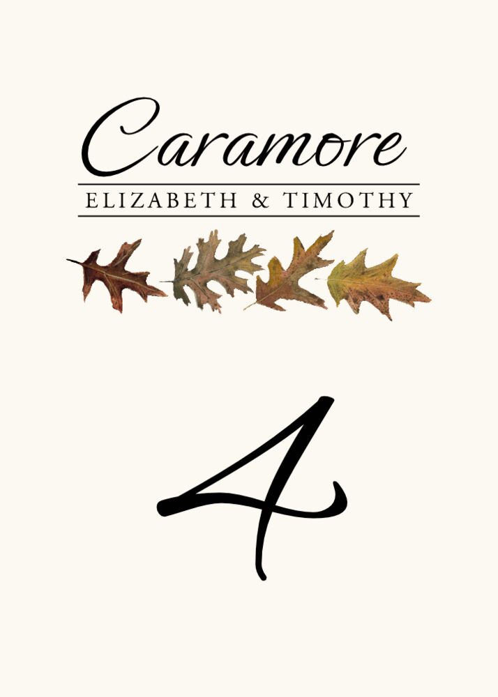 Leaf Pattern Assortment  Table Numbers