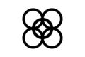 Kintinkantan: Adinkra Symbol of Arrogance, Extravagance