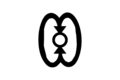 Wo Nsa Da Mu A: Adinkra Symbol of Democracy, Pluralism