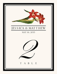 Assorted Flowers and Monogram  Table Numbers