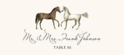 Two Horses Place Cards