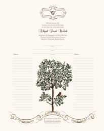 Owl In A Tree  Baby Certificates