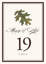 Colorful Leaves Assortment 01  Table Numbers