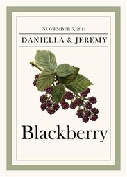 Fruit, Vegetables, Nuts & Grains  Table Names