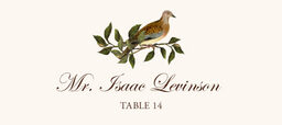 Brown Birds Place Cards