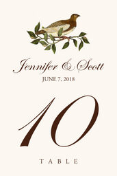 Brown Birds  Table Numbers